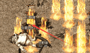 新开传奇sf 新开传奇sf