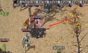 <strong>迷失洞穴深度解析：老玩家的实战心得</strong>